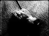 Un Chien Andalou, Bunuel/Dali, 1929 Un Chien Andalou, Bunuel/Dali, 1929