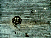 Ant Bee Tarantula, David Lynch, 1998