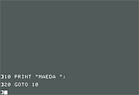 Maeda, APPLE II BASIC program