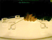 Asymptote, Douglas Edric Stanley Asymptote, Douglas Edric Stanley