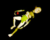 Asymptote, Douglas Edric Stanley Asymptote, Douglas Edric Stanley