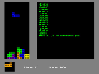 Tetris Adventure, Florent Deloison, 2009 Tetris Adventure, Florent Deloison, 2009