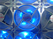 Manuel Braun, D&eacute;placements