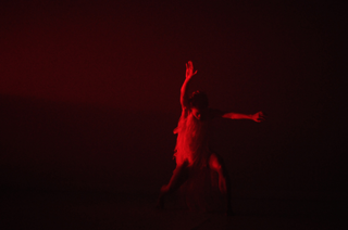 Shades of White, Tomek Jarolim & Bruno P&eacute;r&eacute;, 2008