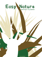 Pascal Chirol, EasyDesign.fr Pascal Chirol, EasyDesign.fr