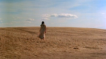 Days of Heaven, Terrence Malick