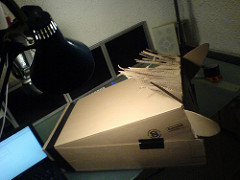 Completed mane Completed mane