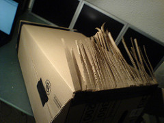 the completed mane the completed mane