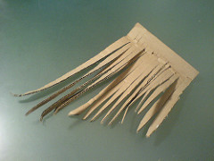 First half of the mane First half of the mane