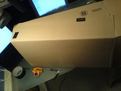 The horse takes shape