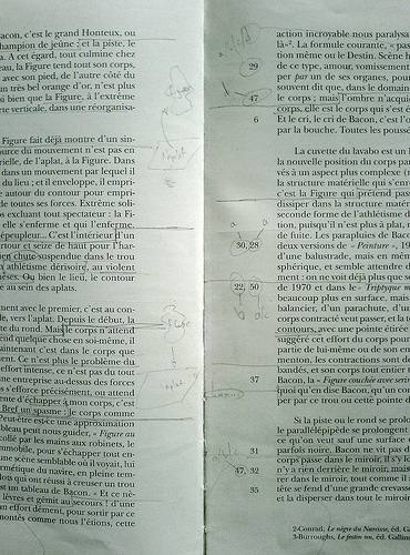 Notes on &laquo; Logique de la sensation &raquo;