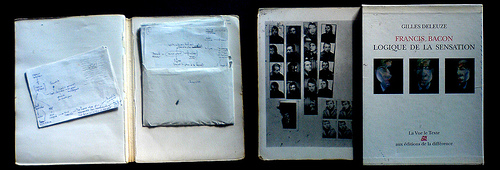 Notes on &laquo; Logique de la sensation &raquo;