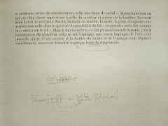 Notes on &laquo; Logique de la sensation &raquo;