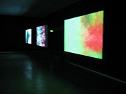 John Maeda, Nature exhibit John Maeda, Nature exhibit