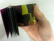 John Maeda; Nature, Interruptions