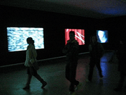 John Maeda, Nature exhibit John Maeda, Nature exhibit