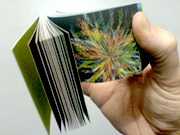 John Maeda; Nature, Interruptions