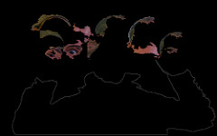 C'est toi la patate !?