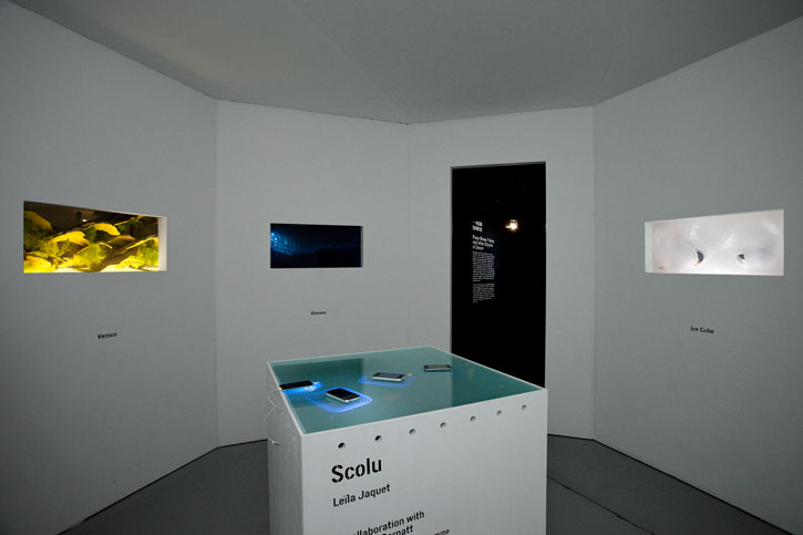 Peep Show, Fishes and Other Objects of Desire