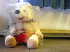 DSC00235.JPG DSC00235.JPG