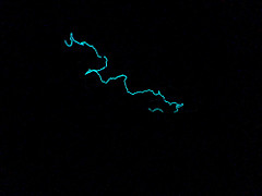 DSC00377.JPG DSC00377.JPG