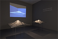 C5 Analagous Landscape vue d'installation