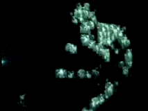 Douglas Edric Stanley, The Thousand Faces of Buddha