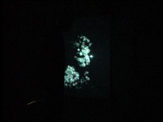 The Thousand Faces of Buddha, Douglas Edric Stanley