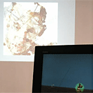 Alison Mealey, Unreal Art