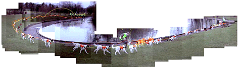 Jeremy Wood, GPS Drawing