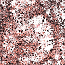 Alison Mealey, Unreal Art