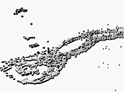 Alison Mealey, Unreal Art