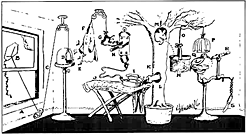 Pencil Sharpener, Rube Goldberg