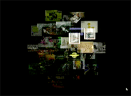 Broyeur (video), Douglas Edric Stanley