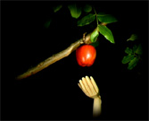 Asymptote (video), Douglas Edric Stanley