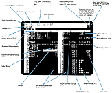 Visicalc User's Guide