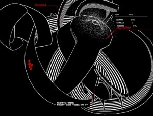 Wrist Watch, Tissot Wrist Watch, Tissot