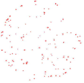 Two Line Element Sets