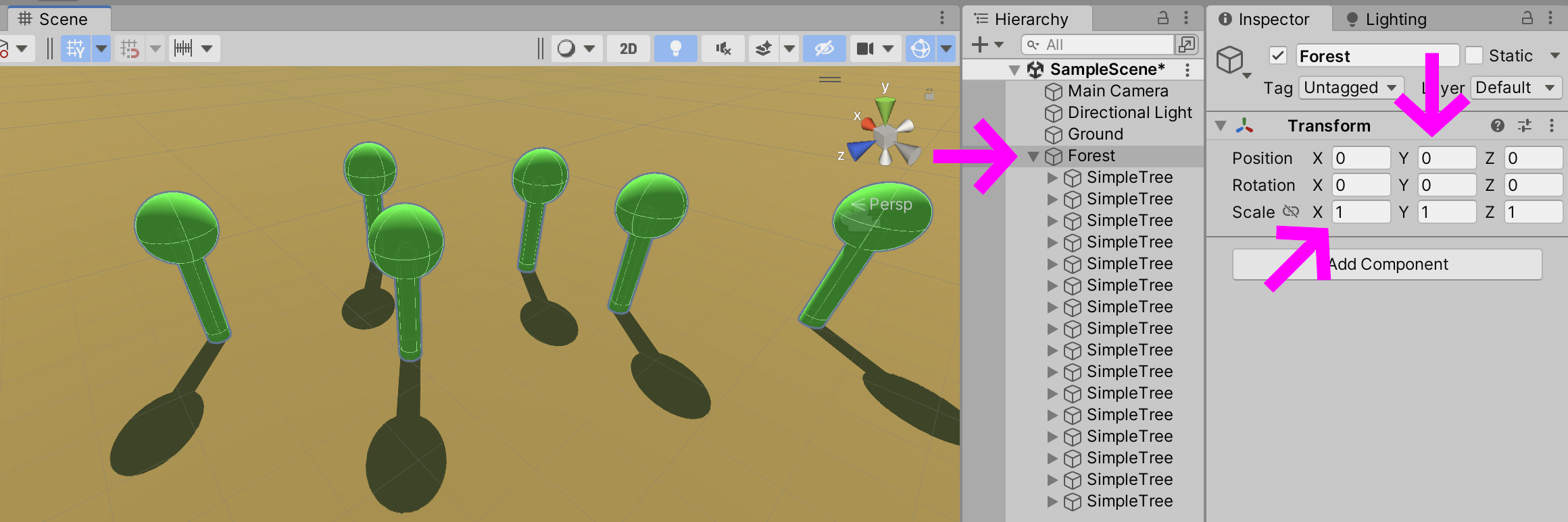 For&ecirc;t de la hi&eacute;rarchie de l'unit&eacute;